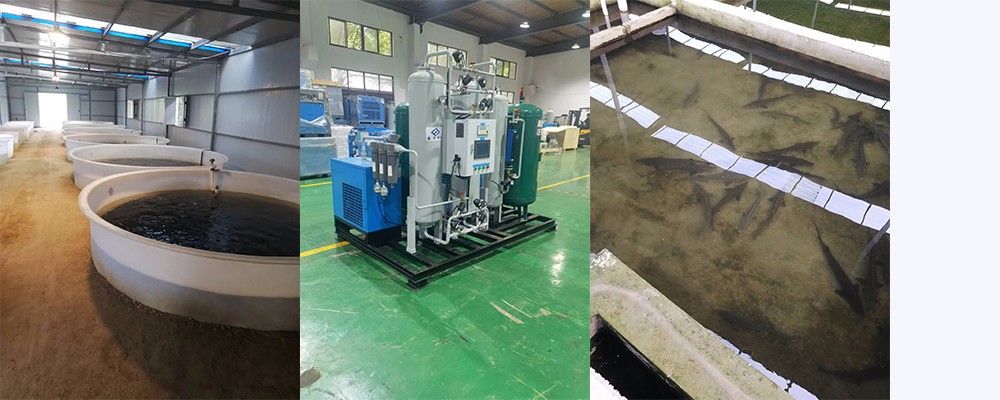 養(yǎng)殖制氧機.jpg 養(yǎng)殖制氧機.jpg